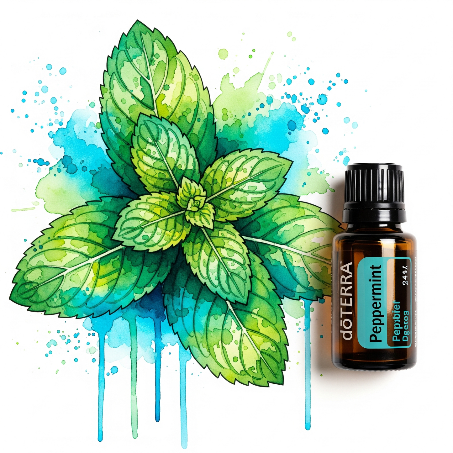 Menthe Verte